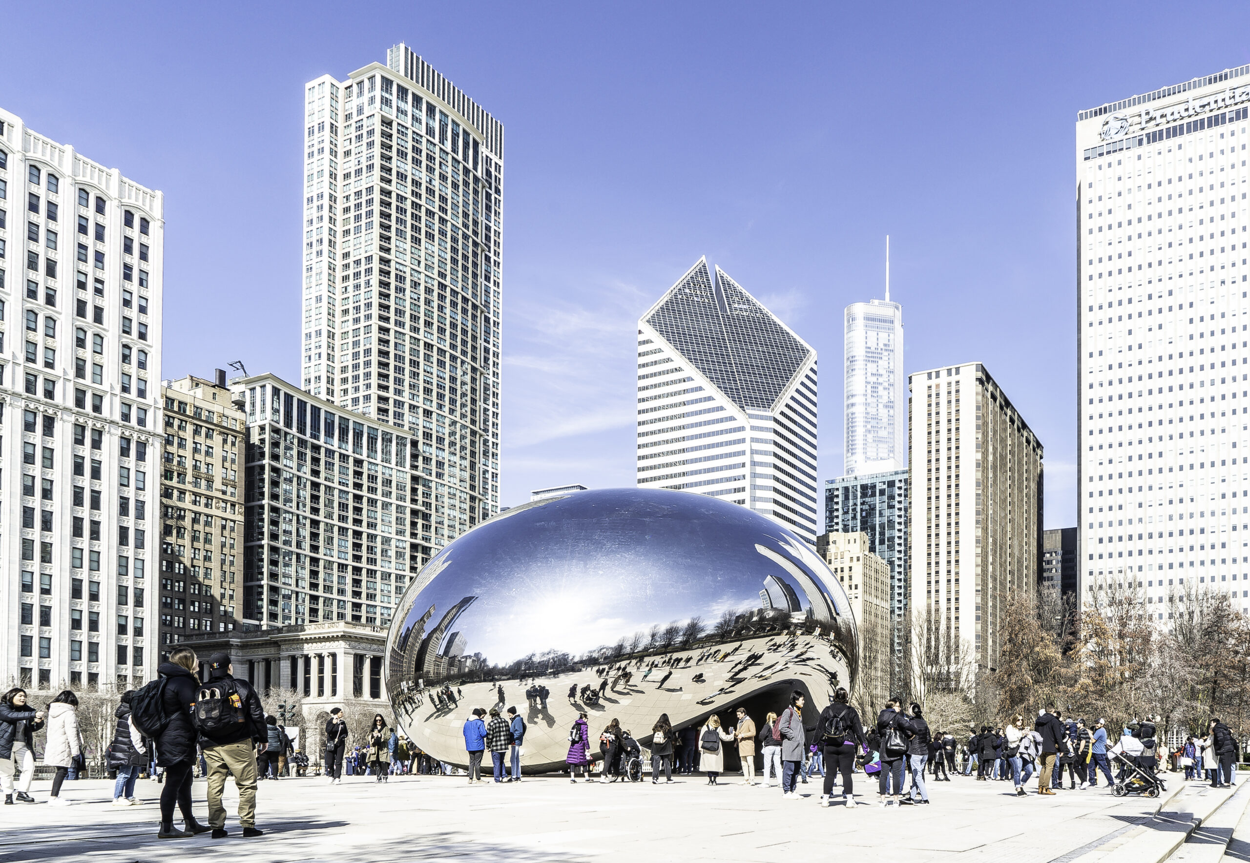 Mobile Notary at The Bean